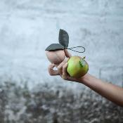 Pomme en bois et chenille Babai - natural