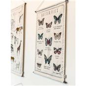 Kit créatif broderie School Poster - Butterflies