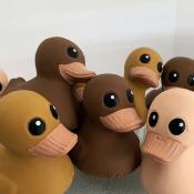 Jouet canard de bain Kawan mini - chocolatte