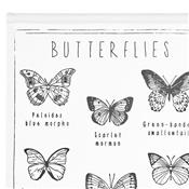 Kit créatif broderie School Poster - Butterflies